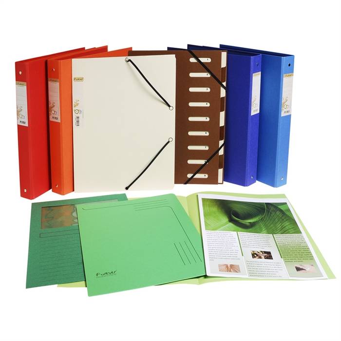 Exacompta 3130630501060 Exacompta - Venstermap forever l-mod 120gr lbl-3