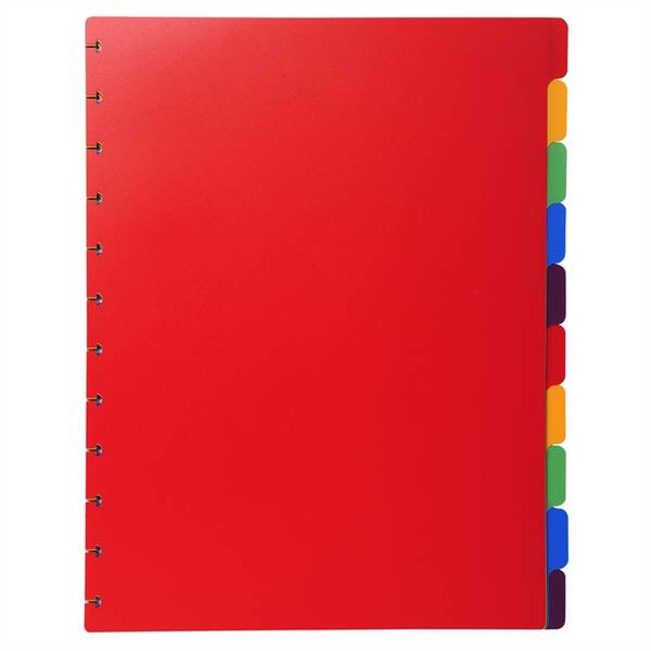 Exacompta 3130630860037  Exacompta -  uitneembare tabbladen voor lbum met ringen, in gekleurd PP, 10 tabs