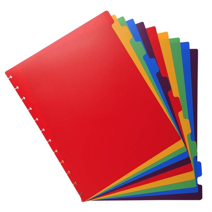 Exacompta 3130630860037 Exacompta - uitneembare tabbladen voor lbum met ringen, in gekleurd PP, 10 tabs-1