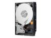 Western Digital 3000 GB Harde schijf (3.5 inch) SATA III WD30EURX