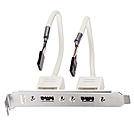 LINDY USB 2.0 Adapter [2x USB - 2x USB] Lindy - USB-Konsole - 5-poliger USB 2.0-Header (W) 20.00 cm-3