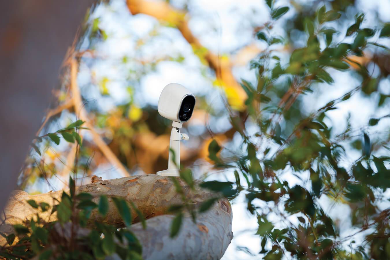 Arlo vma1000 sales