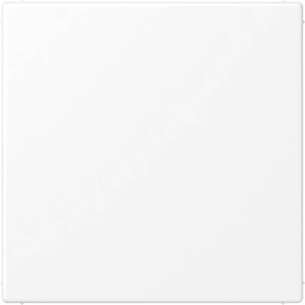 Blindplaat LS mat wit