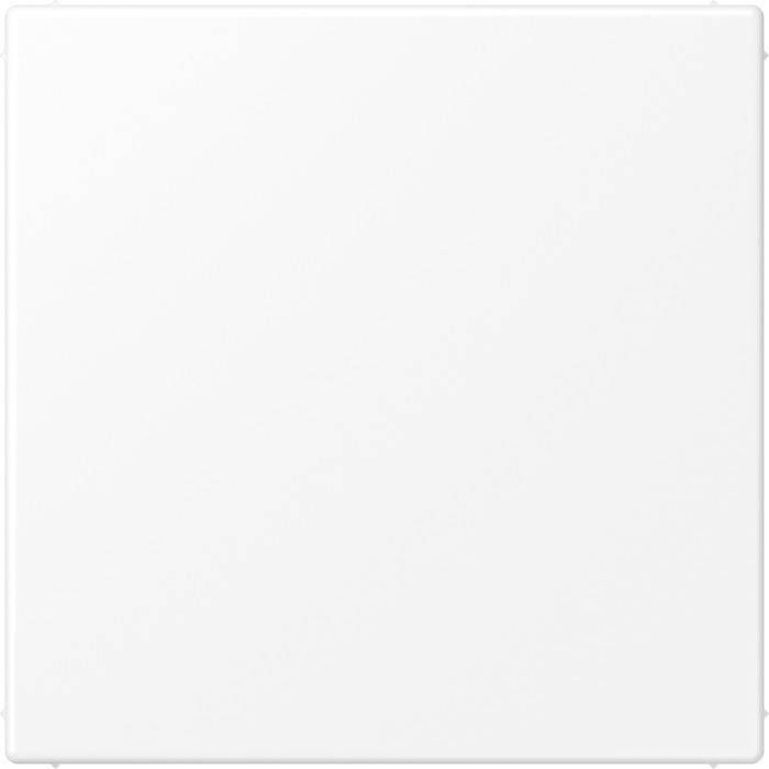 Blindplaat LS mat wit-0