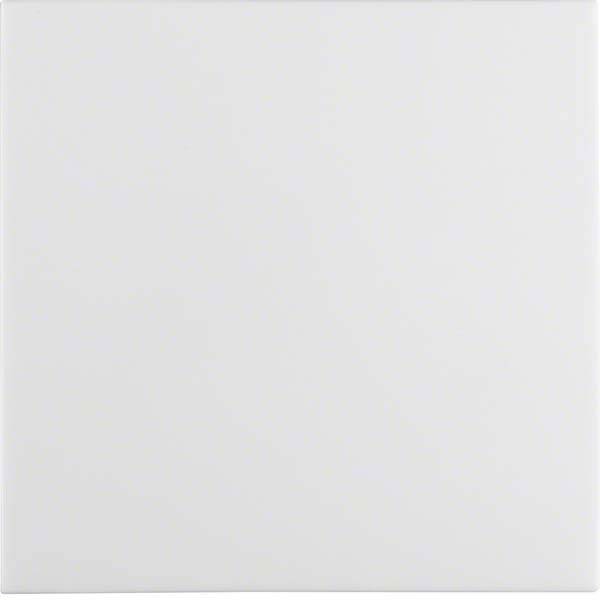 Berker Wippe 16298989-0