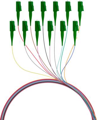 EFB Elektronik FTTHPIGTAILLCA12 - Glasvezel pigtail LC/APC 12 pigtails 9/125m G657A2 2 m-0