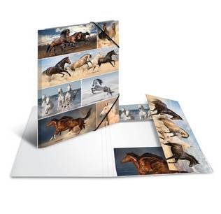 HERMA ringband A3 Paarden Karton-1