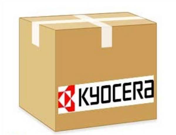 Kyocera WT-5191 afvaltonerfles