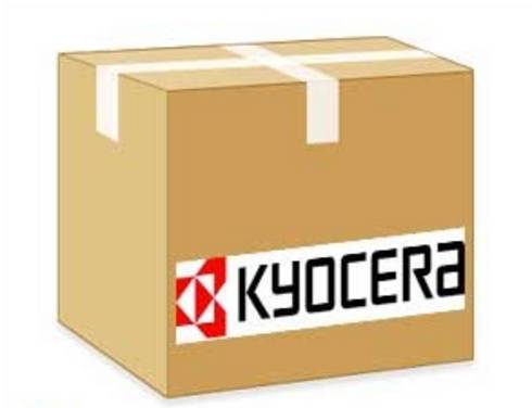 Kyocera WT-5191 afvaltonerfles
