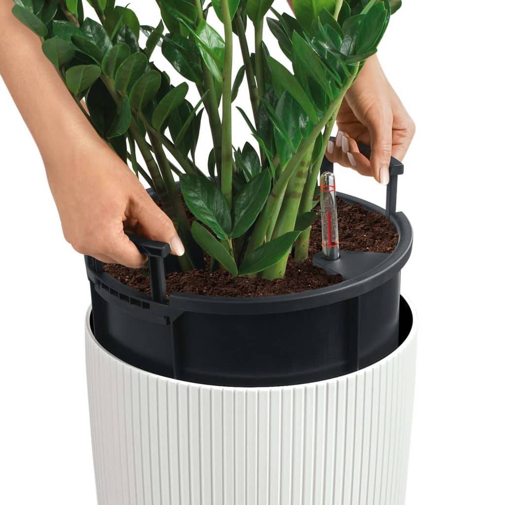 LECHUZA Bloempot - Color Cylinder 32 - Ø 32 x 56 cm - 13 L - Compleet Kit - Wit-3