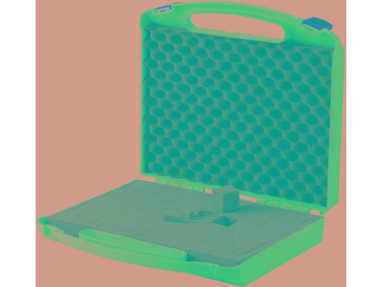 Kunststof koffer met rasterschuim Afmetingen (calc.): (b x h x d) 340 x 310 x 80 mm Kunststof