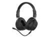Sandberg Wireless Headset ANC FlexMic is een geavanceerde draadloze headset die vele uren comfortabel te dragen.
