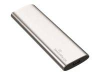 MediaRange SSD harde schijf 3.2Gen2 USB Type-C 240GB ext. sil-0