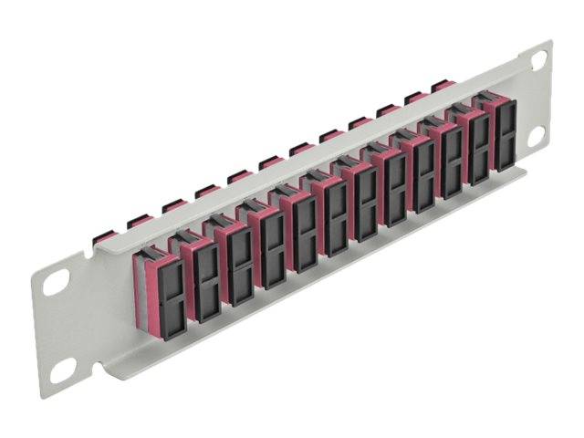 Delock 10″ Fiber Optic Patch Panel 12 Port SC Duplex violet 1U grey-1