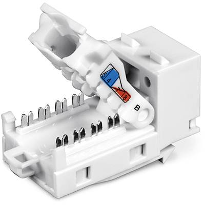 TRENDnet Keystone-aansluitingen 50 stuks Cat6 gereedschapsvrij 90°-9