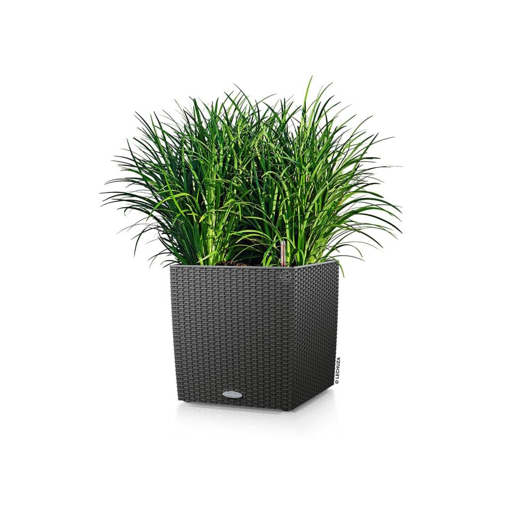 LECHUZA Bloempot Cube Cottage 40 - 39 x 39 x 40 cm - 31 L - Compleet Pakket - Graniet-3