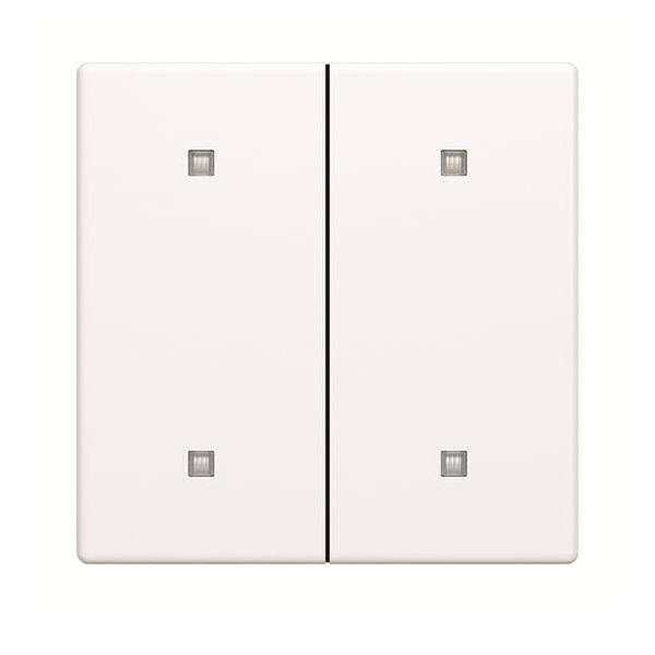 Busch-Jaeger Wippe 2-fach 2570-20-884-0