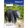 Pelikan 224840 Creatief Papier, Knutselblok, 20 vellen
