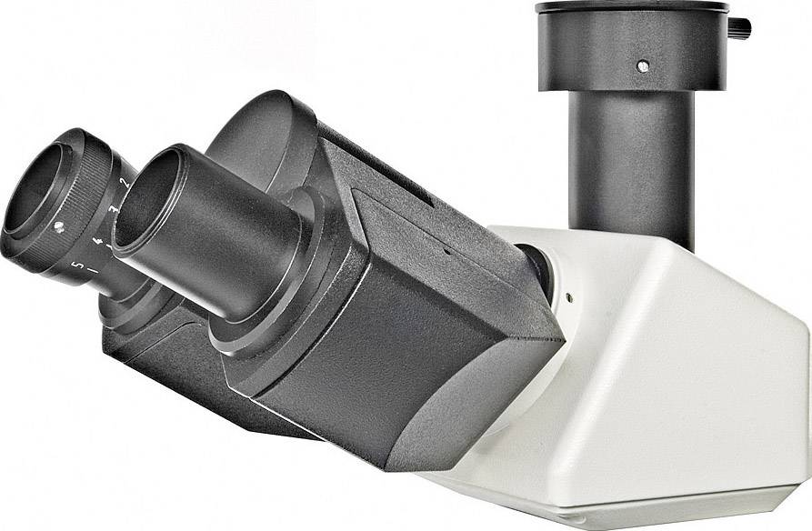 Een microscoop met twee oculaire lenzen, die wordt gebruikt voor wetenschappelijk onderzoek. Hij heeft een modern, smal ontwerp.