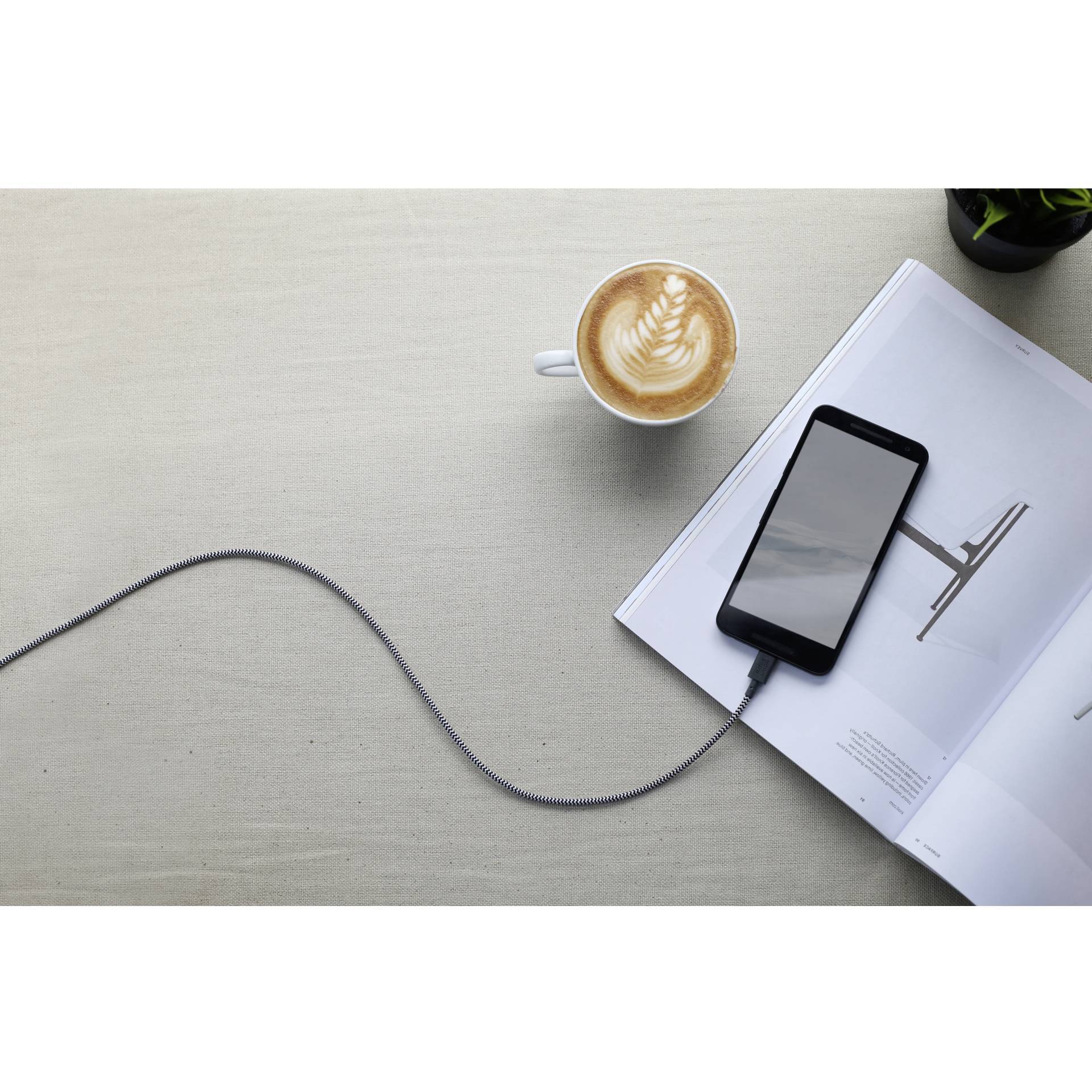 Native Union Belt Cable USB-A naar USB-C 1,2 m Zebra-3