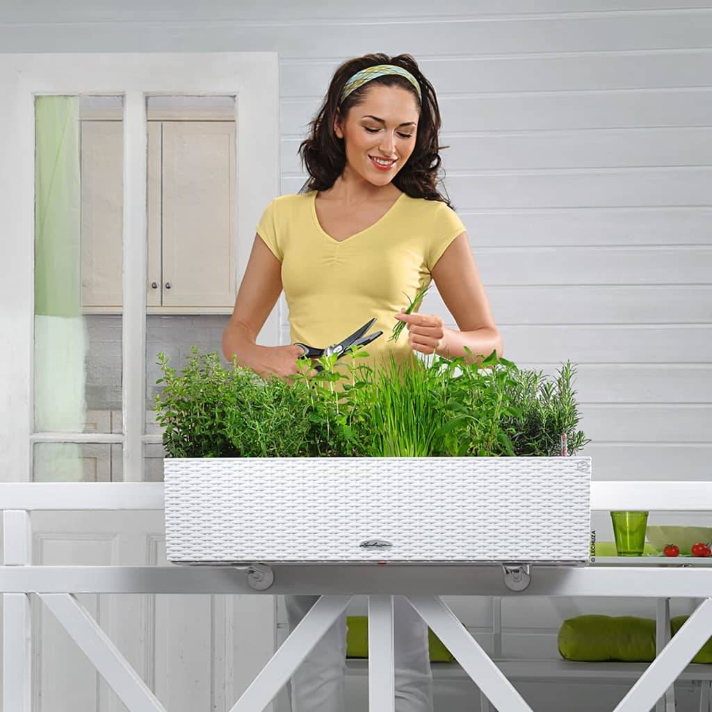 LECHUZA Jardiniere - Balconera Cottage 80 - 79 x 19 x 19 cm - 12 L - Compleet Kit - Wit-1