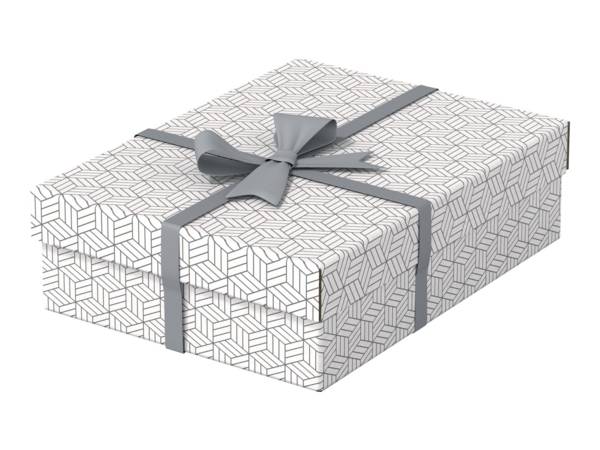 Esselte 4049793072296  Esselte -  Home opberg- en geschenkdoos, ft 26,5 x 36 x 10 cm, wit, pak van 3 stuks
