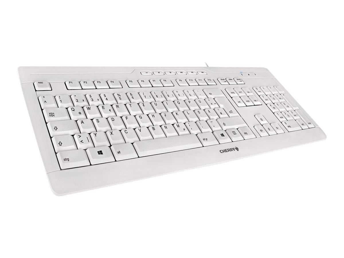 CHERRY STREAM 3.0 toetsenbord Kantoor USB Zwitsers Grijs-0
