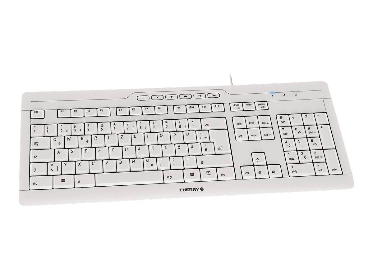 CHERRY STREAM 3.0 toetsenbord Kantoor USB Zwitsers Grijs-2