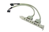 GEMBIRD CCUSBRECEPTACLE Adapter; USB-A aansluiting 2x,penaanlsuiting 10pin; 0,25m - 1 stuk-1