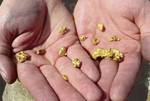 Goudzoekerset met goudpannen