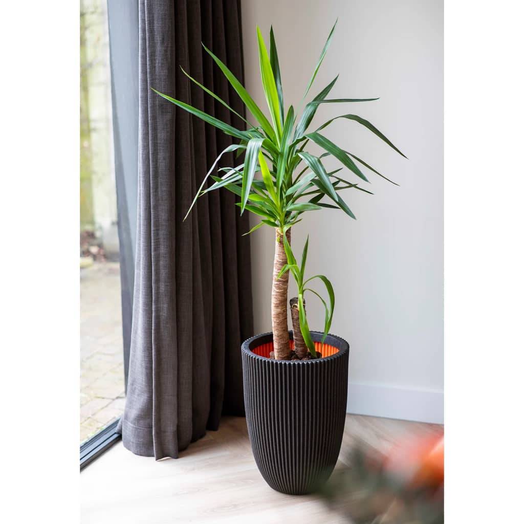 CAPI EUROPE Elegante Lage Vaas GROOVE NL - 34 x 46 cm - Zwart-1
