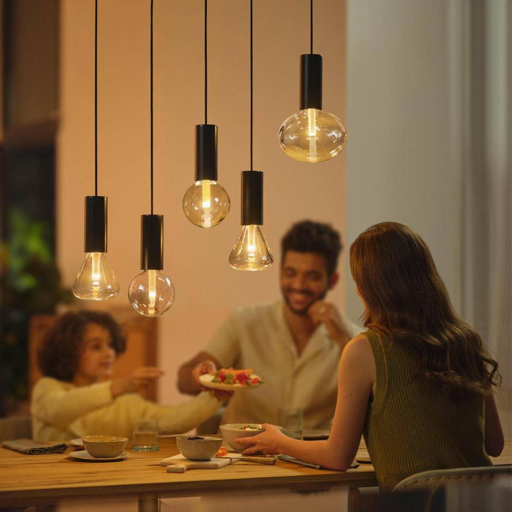 Philips hue lightguide koord - zwart - e27 87195144194528719514419452-4