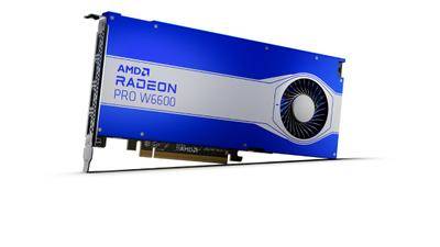 AMD AMD Radeon Pro W6600 Workstation-videokaart 8 GB GDDR6-RAM PCIe DisplayPort-1