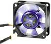 NoiseBlocker BlackSilent XR1 PC-ventilator Zwart, Blauw (transparant) (b x h x d) 60 x 60 x 25 mm
