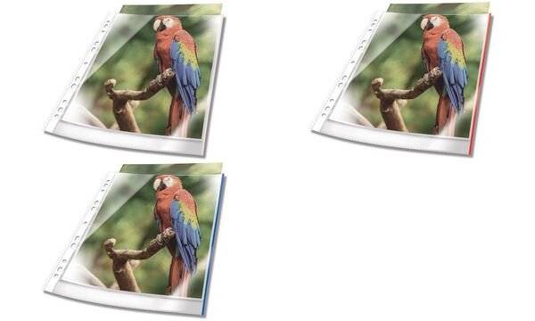 Duurzame A4-documentmappen, bovenaan open, 25 stuks, kristalhelder, blauw