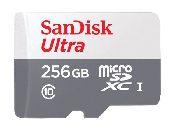 SanDisk SDSQUNR-256G-GN3MN microSDXC-kaart  256 GB UHS-I
