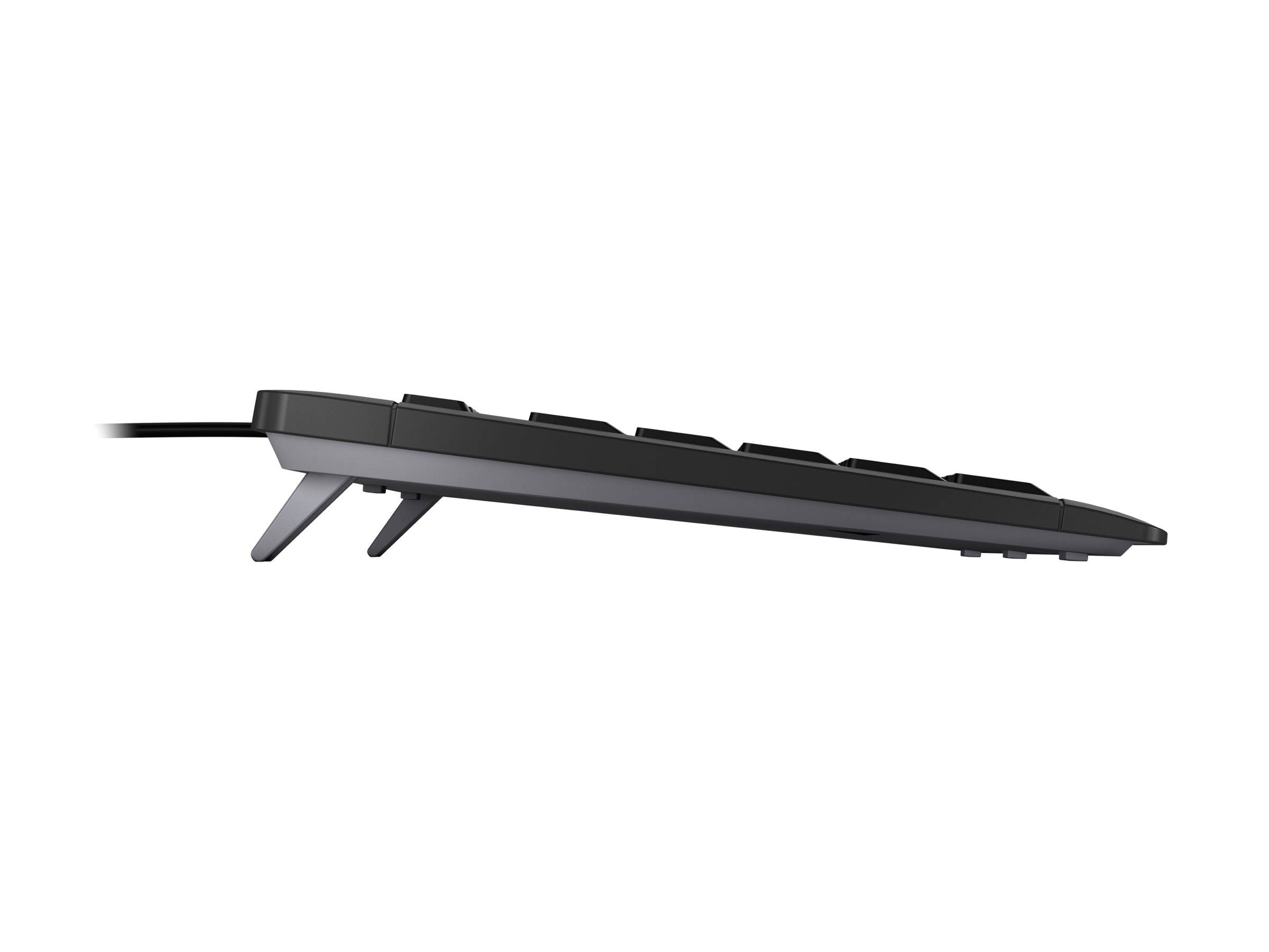 CHERRY STREAM KEYBOARD TKL toetsenbord Universeel USB QWERTZ Zwitsers Zwart-1