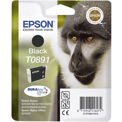 Epson Inktcartridge T0891 Origineel  Zwart C13T08914011