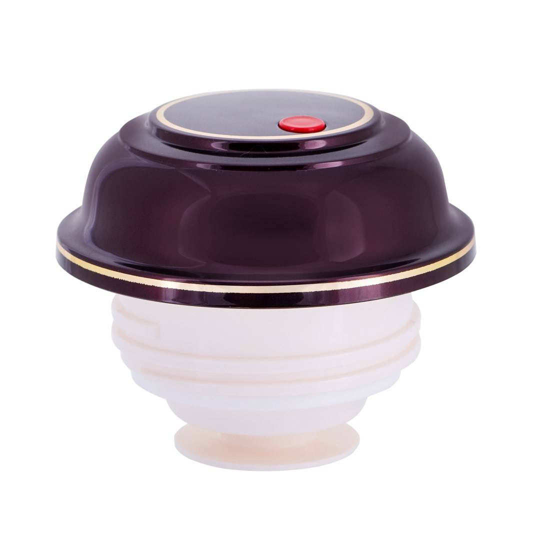 ROTPUNKT 330-16-04-0 vacuümfles 1 L Kers (fruit)-4