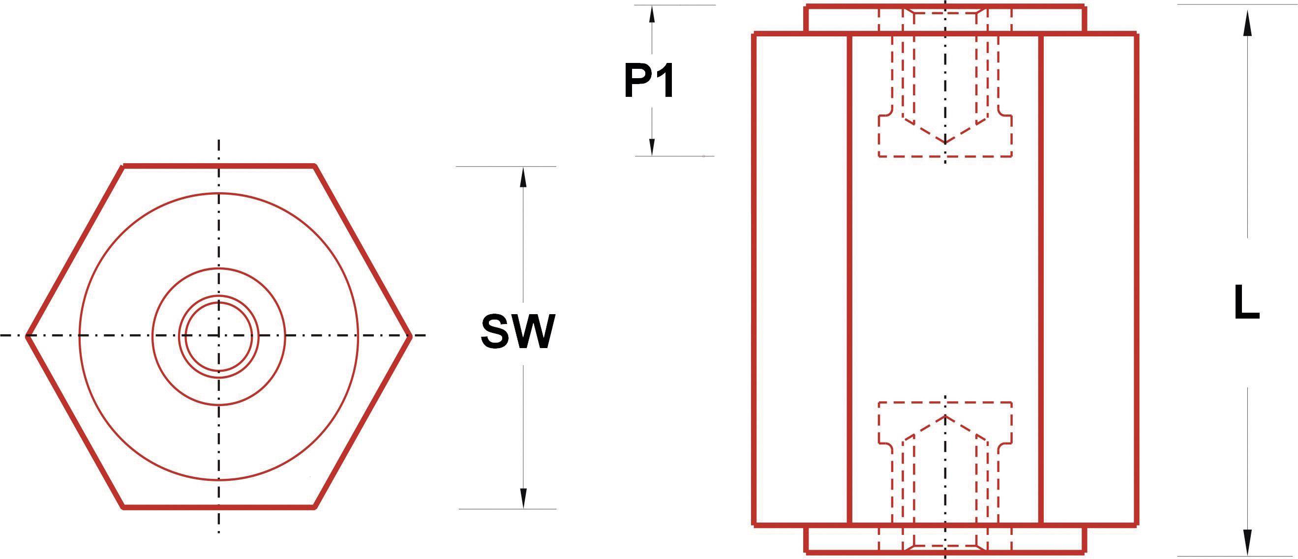 Technische tekening van een zeskantmoer, vooraanzicht links toont de hexagonale vorm; zijaanzicht rechts toont lengte (L) en schroefdraaddiameter (P1); breedte tussen de vlakke zijden (SW).