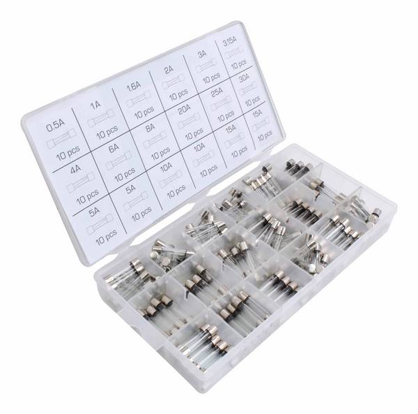 ASTA Assortiment glaszekeringen quick blow 6x30mm (180st)