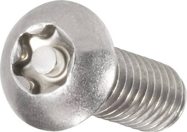 TOOLCRAFT 888765 Lenskopschroeven M3  10 mm T-profiel met pin    RVS A2 10 stuk(s)