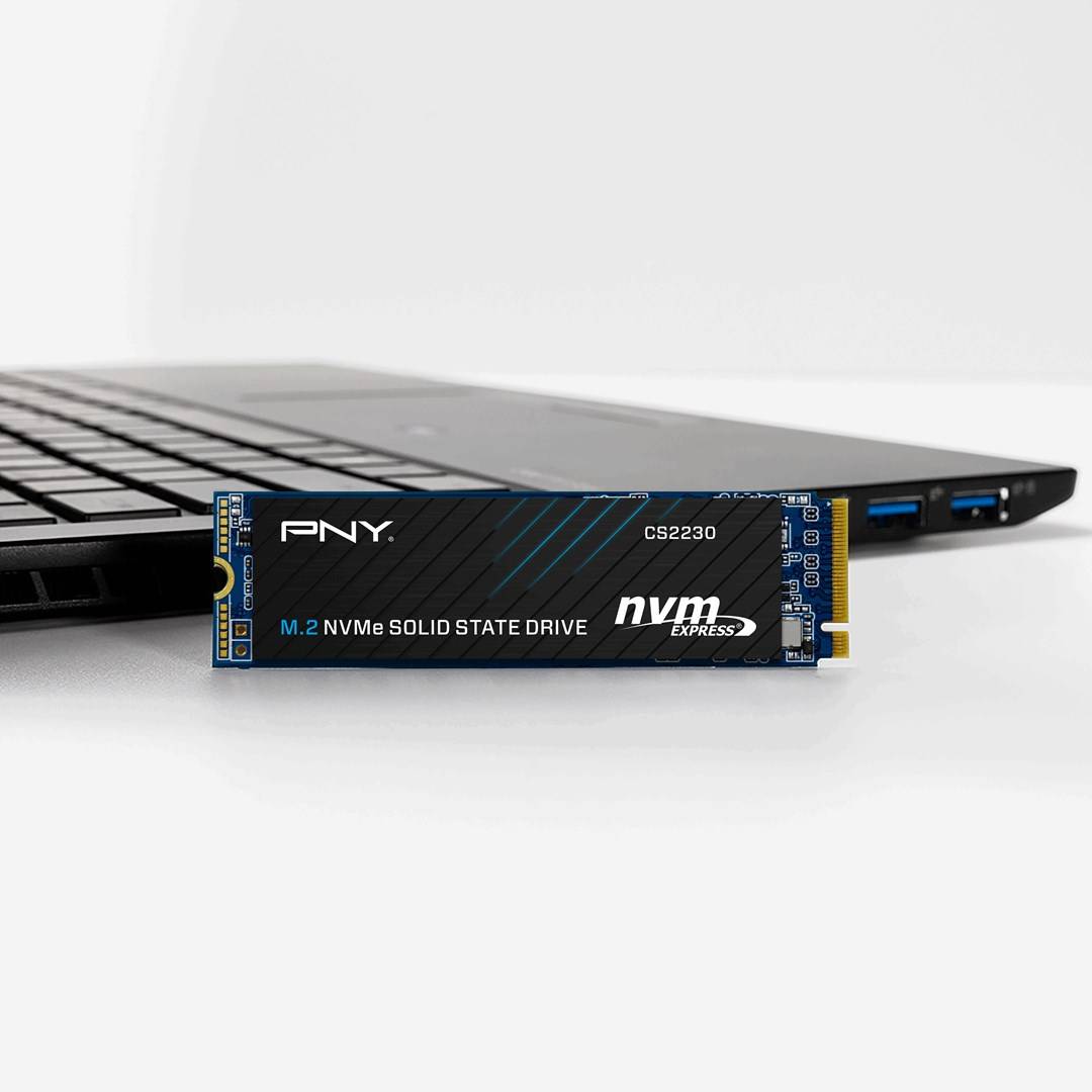 PNY CS2230 M.2 1 TB PCI Express 3.0 3D NAND NVMe-3