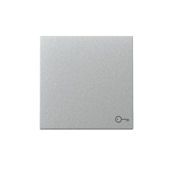 Gira Wippe Symb. Tür 328726-0