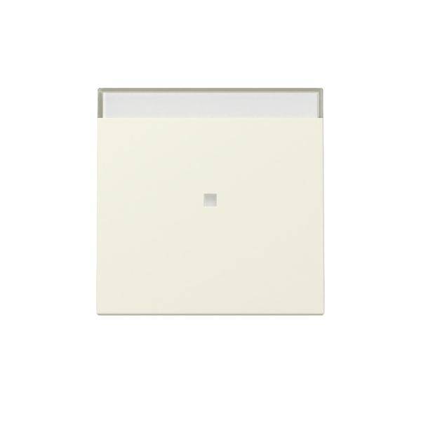 Gira Wippe Kontrollf. 367001-0