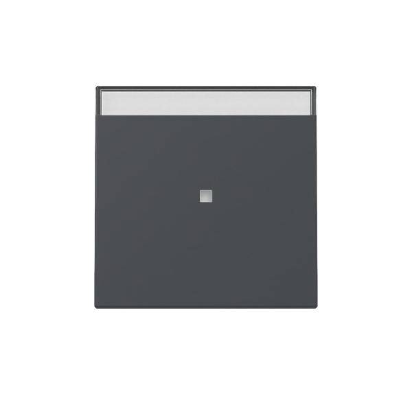 Gira Wippe Kontrollf. 367028-0
