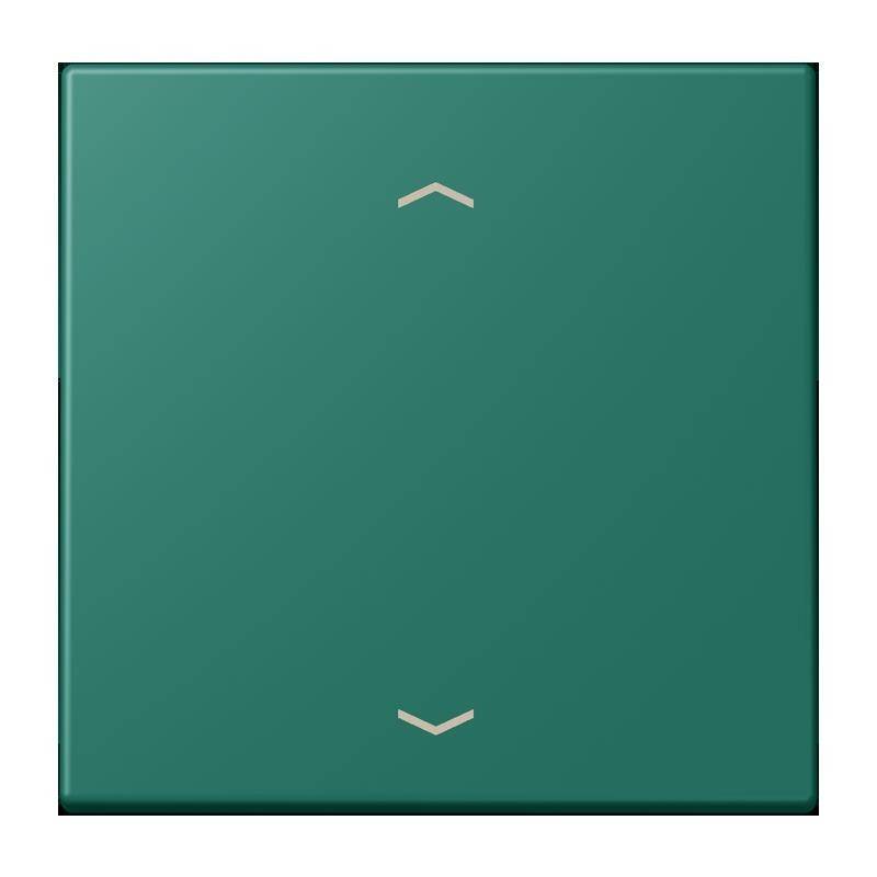 Jung Wippe mit Pfeilsymbolen LC 101P 216-0