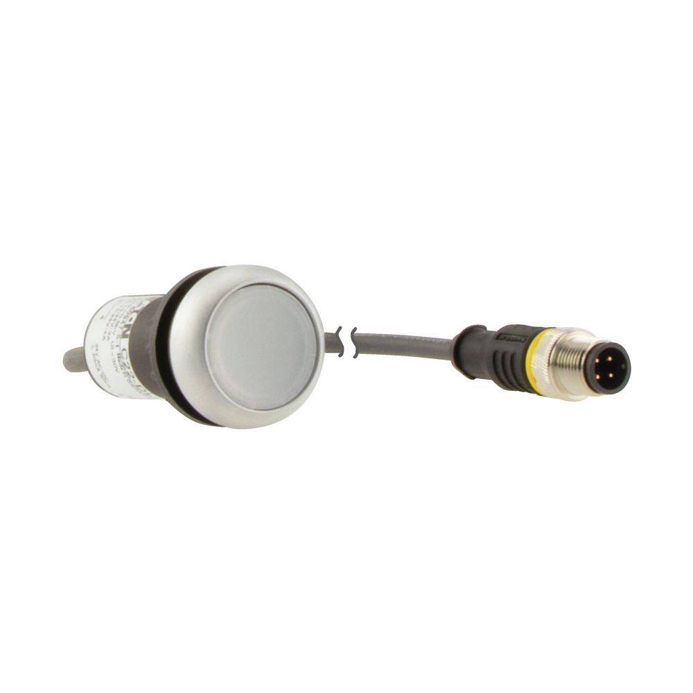 Eaton Leuchtdrucktaste flach 1S C22-DL-W-K10-24-P-2