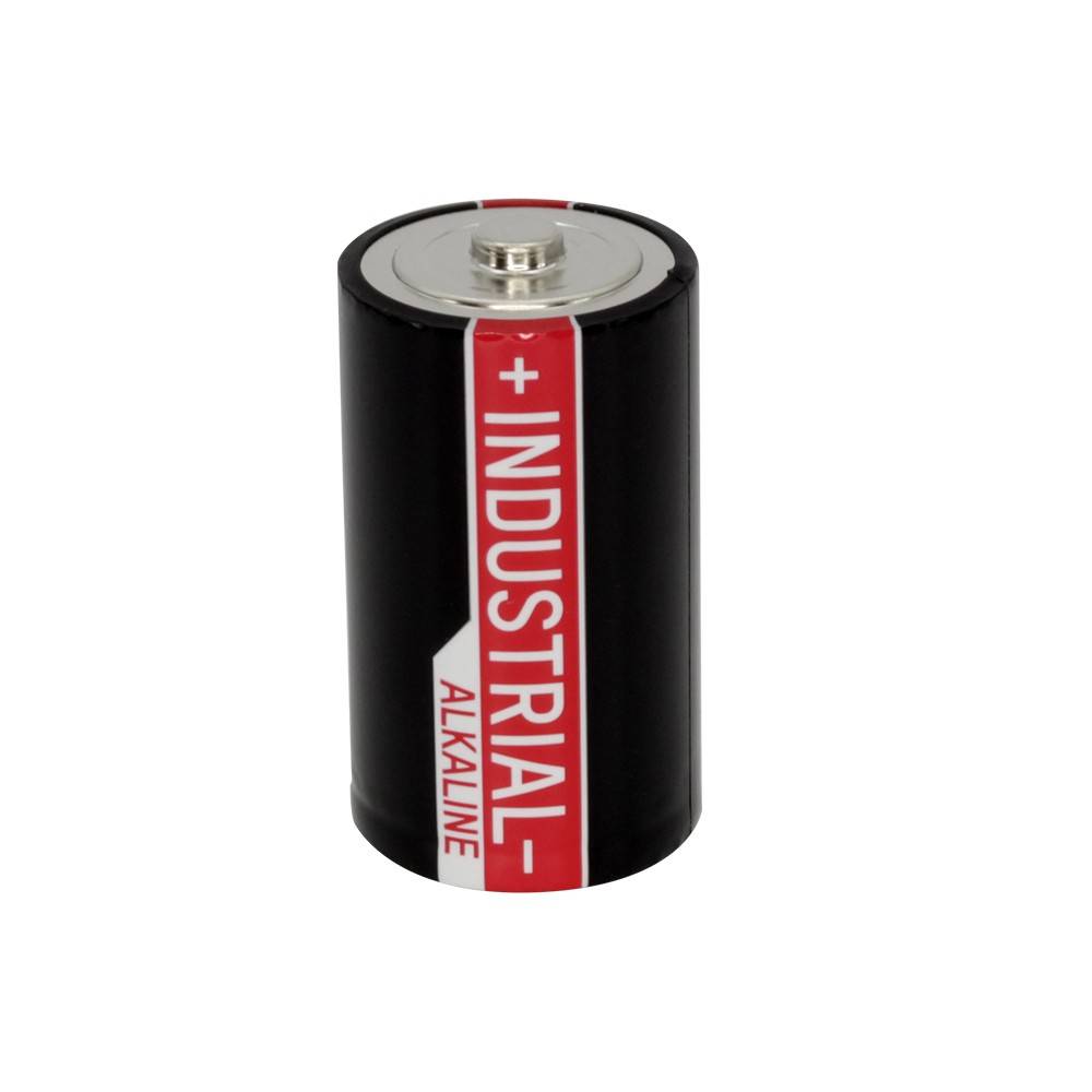 Ansmann Batterijen D 10ST-2