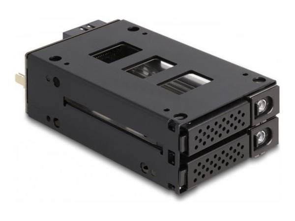 Delock Slim Bay Mobile Rack for 2 x 2.5″ U.2 NVMe SSD